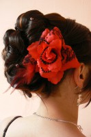 /album/spolecenske-ucesy/a1000109-jpg2/