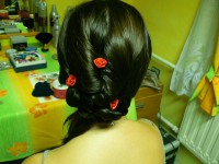 /album/spolecenske-ucesy/p1000459-jpg/